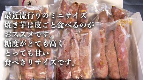 茨城県産 ミニ 焼き芋 6袋 入り イモ いも さつまいも サツマイモ さつま芋  [CO005ci]