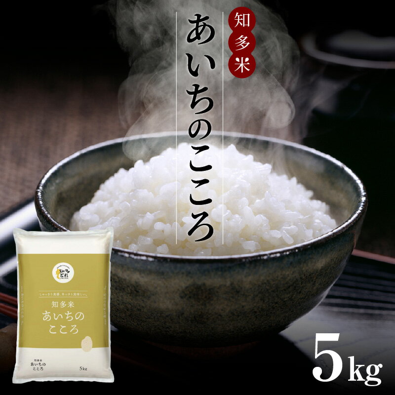 【ふるさと納税】知多米 あいちのこころ【5kg】あいちのこころ 卵かけご飯に！ 大粒 白米 精米 お米 GAP基準に沿って栽培されたお米 ブランド米 知多 JAあいち知多 人気返礼品 常滑市 単一原料米 国産米 コスパ 愛知県産 送料無料