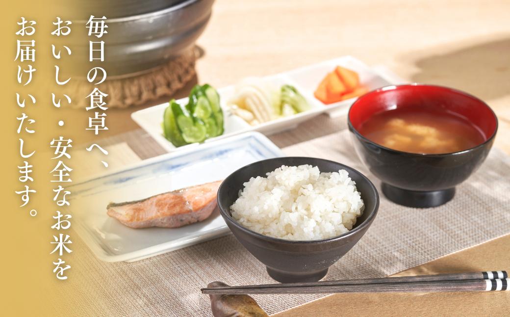 【先行予約・令和7年10月以降発送予定】 令和7年産新米 新潟県産 コシヒカリ 10㎏  出雲崎町産 「天領の里」白米 精米 お米 こしひかり