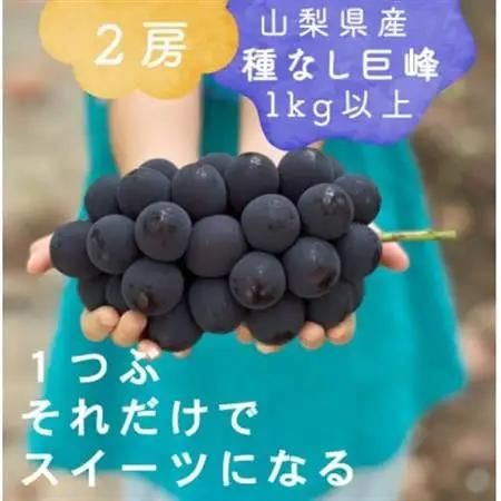 巨峰ぶどう(種なし) 　2房　1kg 以上　産地直送　山梨県山梨市牧丘産【配送不可地域：離島・沖縄県】【1535963】