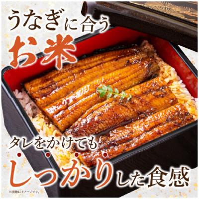 ふるさと納税 西尾市 特別栽培米西尾産コシヒカリ《ぬくもり》【5kg/袋×1袋】・D024-14 |  | 02