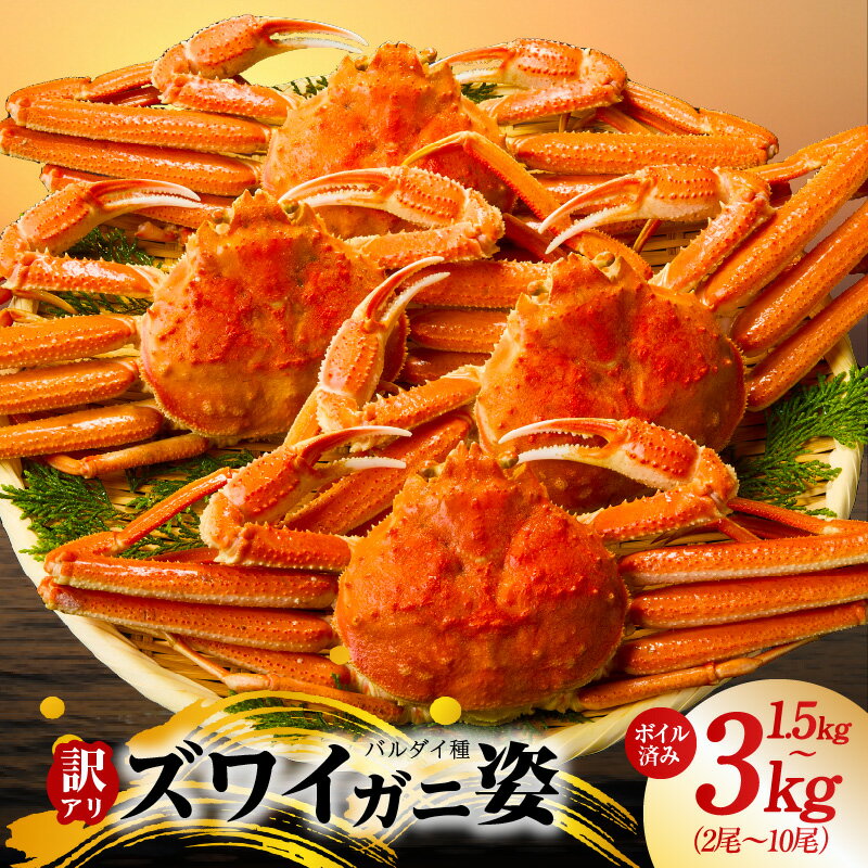 【ふるさと納税】訳あり バルダイ種 ズワイガニ姿 1.5kg / 3kg ボイル済 オオズワイガニ カニ ズワイガニ ファミリー向け 昆布熟成 冷凍 本格海鮮 濃厚 カニみそ ごちそう おつまみ かに鍋 カニ雑炊 甲羅焼き お取り寄せ グルメ 大阪府 泉佐野市 送料無料