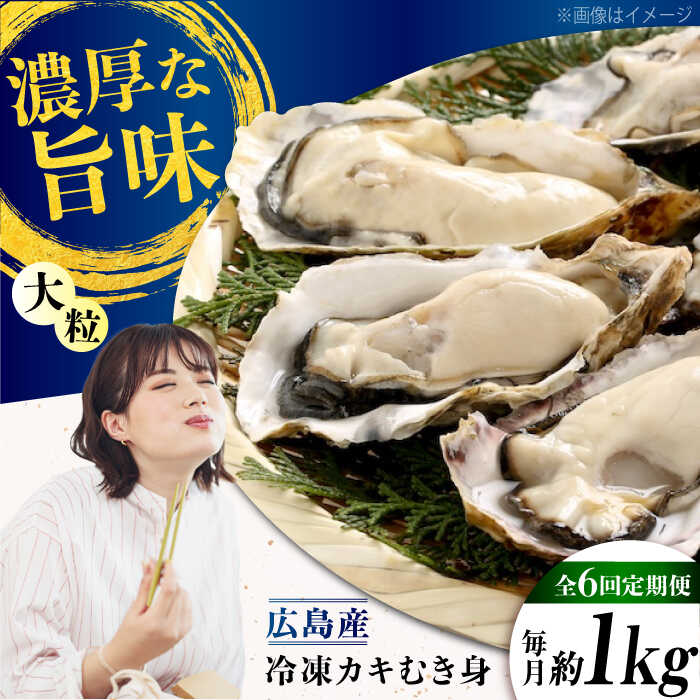 【ふるさと納税】【全6回定期便】こだわり大粒 牡蠣 むき身【瞬間冷凍】約1kg 魚介類 海鮮 牡蠣 むき身 冷凍 かき カキ 加熱用 殻なし 広島県産 おすすめ カキフライ 人気 お取り寄せ ギフト 冬 旬 送料無料 江田島市/有限会社マルイチ水産[XCU015]
