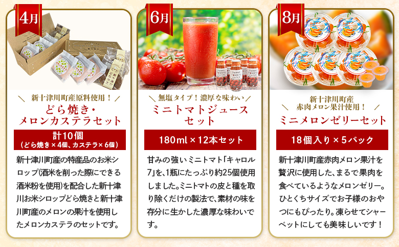 【定期便：全６回】加工品の定期便１【12028】