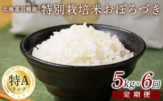 
【令和5年産】【定期便：6回】令和5年産　北海道羽幌産特別栽培米おぼろづき5kg【08114】
