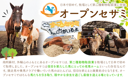 【返礼品なし】引退馬余生支援寄附 30,000円 一般社団法人オープンセサミアライブ 熊本県 南阿蘇村 馬 ウマ 支援 競走馬 引退馬 生活支援 動物愛護 保護 返礼品なし 寄附 牧場 オープンセサミ