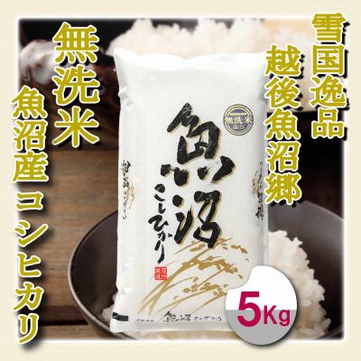 ふるさと納税 魚沼市 雪国逸品 《無洗米》5kg　越後魚沼郷 魚沼産コシヒカリ