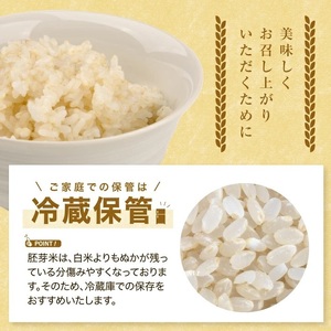 SA2835　令和7年産【胚芽米】はえぬき　5kg×1袋　 YA