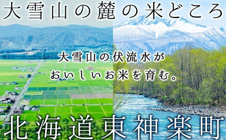 【お米の定期便】ゆめぴりか 5kg 《無洗米》全3回 新米【令和8年1月発送】