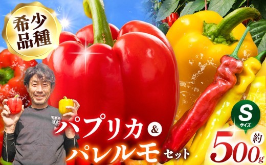 【先行受付】パプリカ＆パレルモ(希少品種)　Sセット　約500g | パプリカ パレルモ 野菜 希少 ジューシー フレッシュ ヘルシー ふるさと納税 信州 長野県 松本市