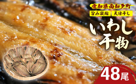 訳あり いわし 干物 48尾 (16尾×3パック) 天日干し 冷蔵