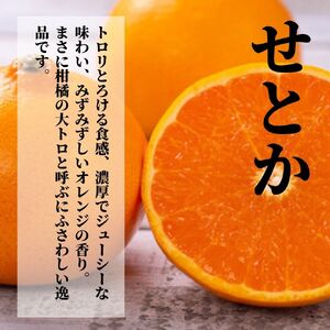 《2027年2月頃から順次発送》【三種のみかん食べ比べ箱】 せとか・はるか・伊予柑 （家庭用）1.5kg | 愛媛 みかん 蜜柑 柑橘 果物 くだもの フルーツ お取り寄せ グルメ 期間限定 数量限定