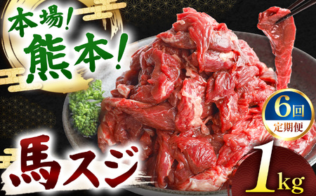 【定期便 6回】馬スジ 1kg ( 500g × 2 ) | 肉 にく お肉 おにく 馬 馬肉 馬スジ 定期 定期便 熊本県 玉名市
