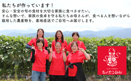 【定期便/3ヶ月お届け】たべとうみんの旬菜ボックス
