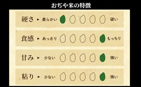 【おぢや米 3kg】魚沼産コシヒカリ 魚沼特A評価地域 クラフト袋