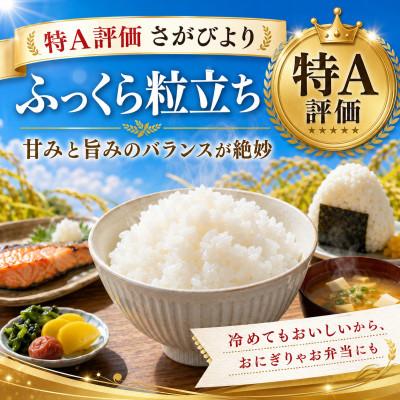ふるさと納税 大町町 【毎月定期便】『さがびより』白米10kg(5kg×2袋)(大町町)全6回 |  | 01