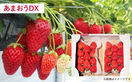 【予約受付・3回定期便】あまおう贅沢セット あまおう いちご 苺 イチゴ フルーツ 果物 くだもの ジェラート【2026年3月上旬～7月下旬発送予定】