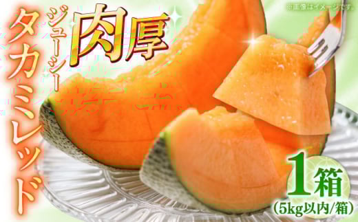 【2026年5月〜発送】タカミメロン レッド 1箱 5kg以内（3～6玉） / メロン めろん フルーツ 果物 / 南島原市 / 南島原果物屋 [SCV031]