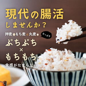 雑穀米本舗 国産 麦の恵み24穀米ブレンド 4kg(800g×5袋)