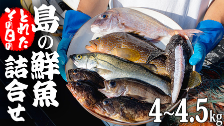 大崎上島 鮮魚 セット 4～4.5kg 