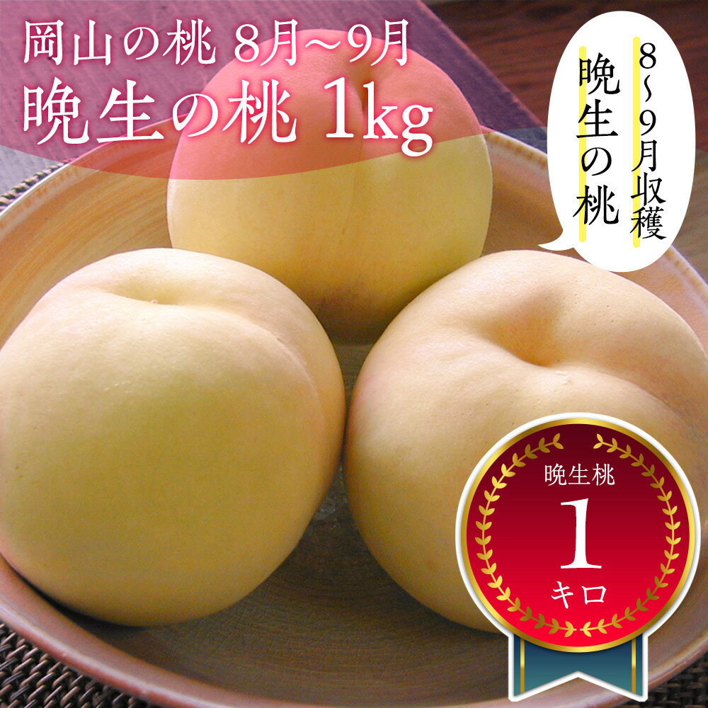 【ふるさと納税】岡山の桃　8月 - 9月　晩生の桃　1kg【8月以降発送】