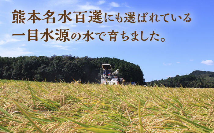 にこまる 白米 計10kg（5kg×2袋）【竹下農園】 [ZEL004]
