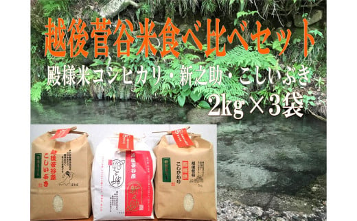 新米 令和6年産 越後菅谷米食べ比べセット 2kg×3袋　【 新潟産 新発田市 米 食べ比べ セット コシヒカリ 新之助 こしいぶき 殿様米 菅谷 2kg 3袋 数量限定 】