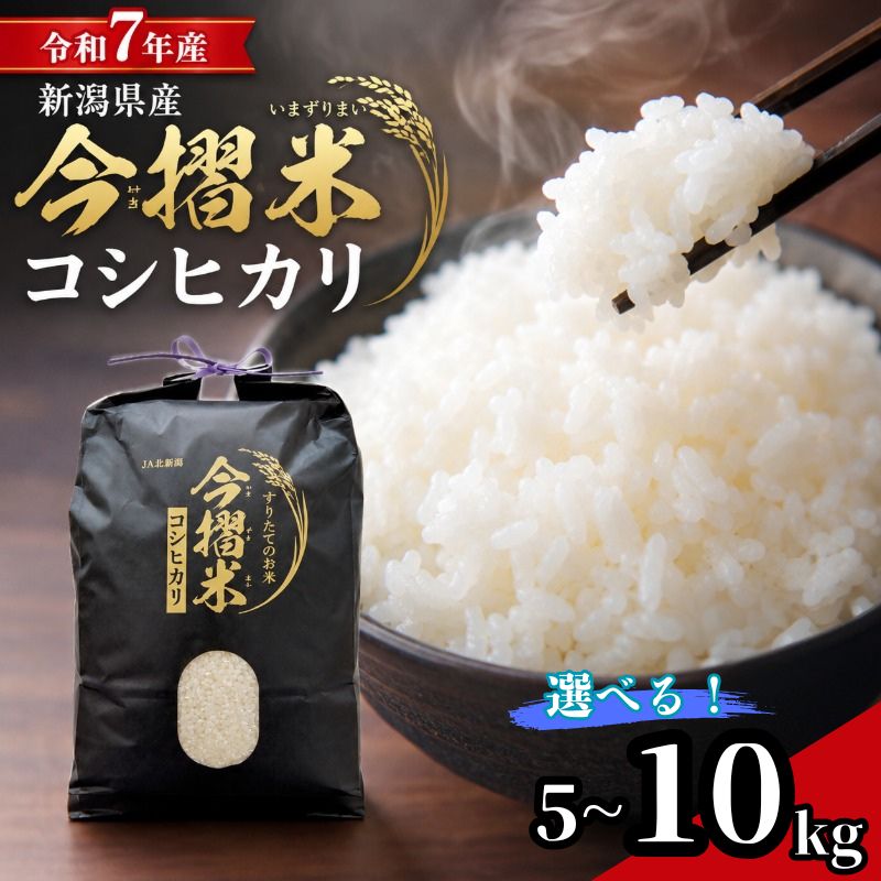 【ふるさと納税】 米 コシヒカリ 特別栽培米 今摺米 5kg 10kg 令和7年産 JA ブランド米 米 お米 米5kg 米10kg 精米 いまずりまい ごはん こめ おむすび おにぎり 弁当 おかず 色彩選別 鮮度 雪解け水 贈答 ギフト 国産 新潟 新発田 JA北新潟 こったま～や JA013P