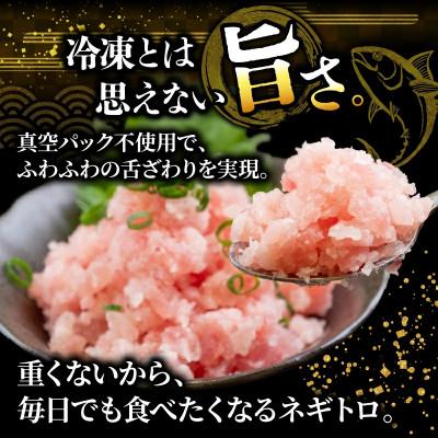 ふるさと納税 須崎市 【毎月定期便】手作りネギトロ1040g(80gx13パック)全3回 |  | 01