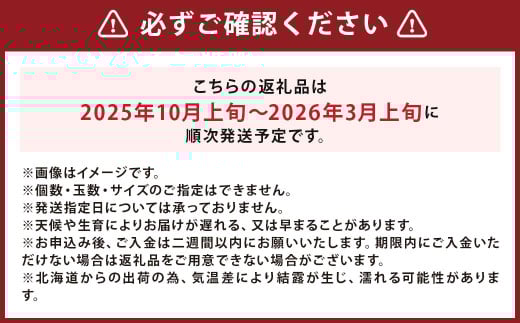 北海道産 じゃがいも キタアカリ 玉ねぎ セット M～2Lサイズ混載 各約10kg 合計約20kg 2箱 山田農場 ジャガイモ 芋 いも イモ 玉葱 タマネギ たまねぎ 国産 【2025年10月上旬-