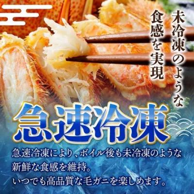 ふるさと納税 普代村 北三陸産 冷凍 ボイル 毛ガニ 約400g×2尾 かに 蟹 毛蟹 かにみそ |  | 03