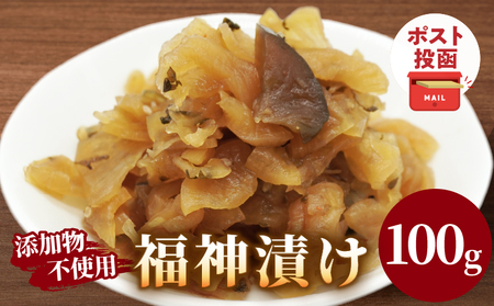 ＼ポスト投函／福神漬け100g おかず 漬物 野菜 加工品 国産_T037-0115