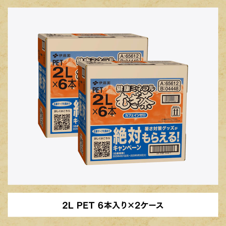 【3ケ月定期便】伊藤園 健康ミネラル むぎ茶 2L×6本×2ケース PET【お茶 麦茶 ムギ茶 飲料 水分補給 ソフトドリンク ペットボトル 全3回】
