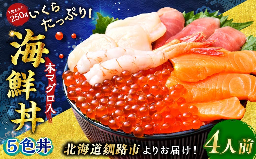 【期間限定！寄附額改定↓！】いくらたっぷり海鮮丼セット 4人用 イクラ いくら 海鮮丼 刺身 真空パック 小分け 北海道いくら 秋鮭 秋鮭イクラ 新鮮 海鮮 F4F-8627