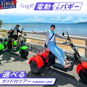 【ふるさと納税】電動三輪バギーで行く選べるガイド付ツアー【 沖縄 石垣島 レンタル バイク バギー トライク 車 】 RO-4