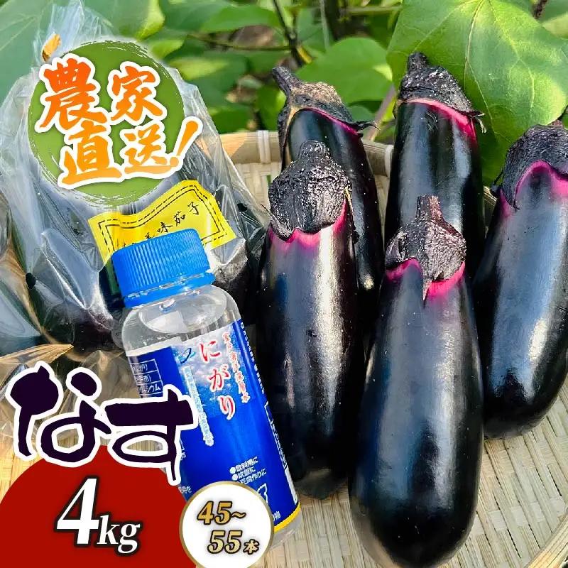 農家直送　土佐の美味茄子の新鮮ナス　４kg　（室戸海洋深層水にがり使用） 野菜 なす ナス 常温 小袋 国産 夏野菜 茄子 小分け 旬 高知