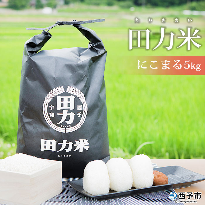 ＜令和6年産 田力米 5kg にこまる＞ お米 こめ コメ 愛媛県 西予市