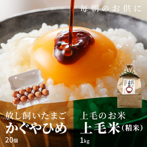 放し飼いたまご「かぐやひめ」20個＆米1㎏【福岡上毛町産】　C01906