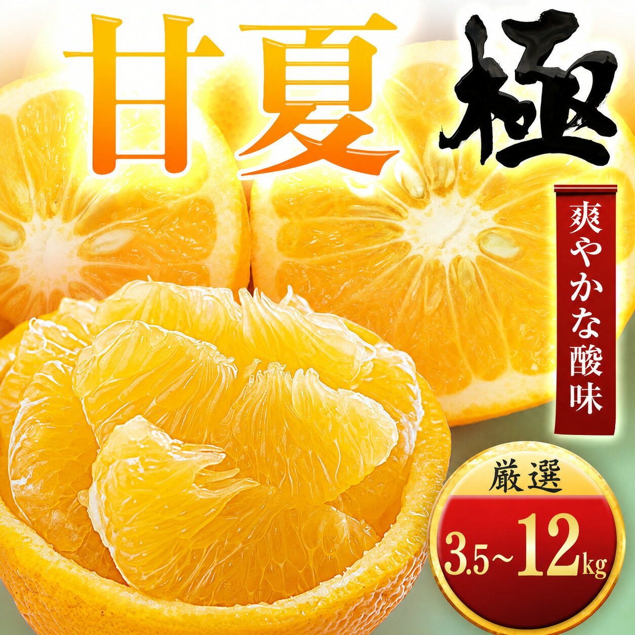 【ふるさと納税】【先行受付】【クセになる爽やかさ】甘夏【極】選べる容量 3.5kg/ 6kg/12kg 愛媛県産【C49-85】ふるさと納税 果物 くだもの あまなつ みかん ミカン 蜜柑 柑橘 フルーツ 選べる 3.5kg 6kg 12kg 内容量 期間限定 季節限定 特産品 【1621797】YWTZ102