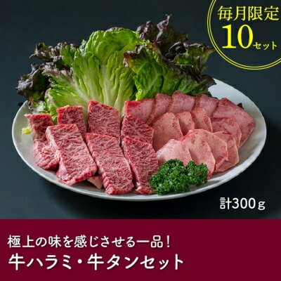 【ふるさと納税】数量限定!かわなべ牛ハラミ・牛タンセット【配送不可地域：離島】【1185840】