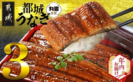 【年内お届け】宮崎県育ちのうなぎ蒲焼3尾500g以上≪山椒・たれ付≫≪2025年12月15日～31日お届け≫_AC-M301-HNY