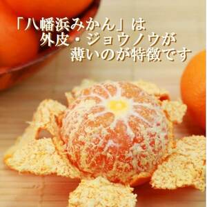 太陽の光・石垣の反射光・海面の反射光を浴びて育った「八幡浜みかん」約3キロ【B39-78】【配送不可地域：離島】【1625774】