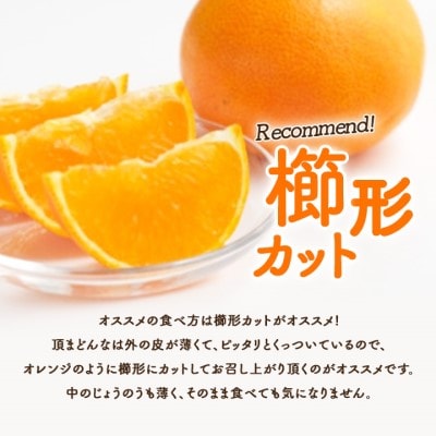紅まどんなと同じ品種《頂まどんな》ご家庭用 3kg 【C31−22】【1329228】