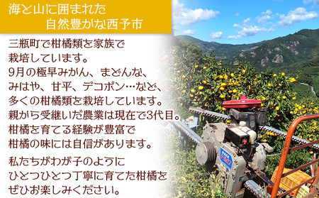 【先行予約】＜甘平 約3kg 贈答用＞ 果物 オレンジ フルーツ かんぺい カンペイ 柑橘類 みかん ミカン 蜜柑 ポンカン 西之香 ギフト 贈り物 プレゼント 特産品 山本果樹園 西宇和 愛媛県 西