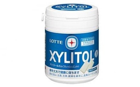 ロッテ キシリトールガム ライムミント フレッシュミント 12個セット | ガム ガム ガム ガム ガム