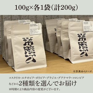 自家焙煎 コーヒー粉 2種飲み比べ 計200g 浅煎り ペーパーフィルター用挽き HITACHINO COFFEE（MB-4）