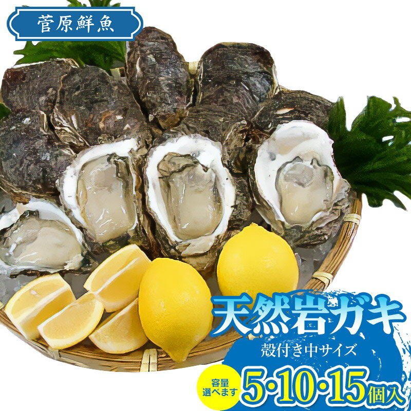 【ふるさと納税】【令和7年度予約販売】天然岩ガキ（岩ガキ専用ナイフ付き）　容量お選びください［5・10・15個入り］ 牡蠣　庄内観光物産館