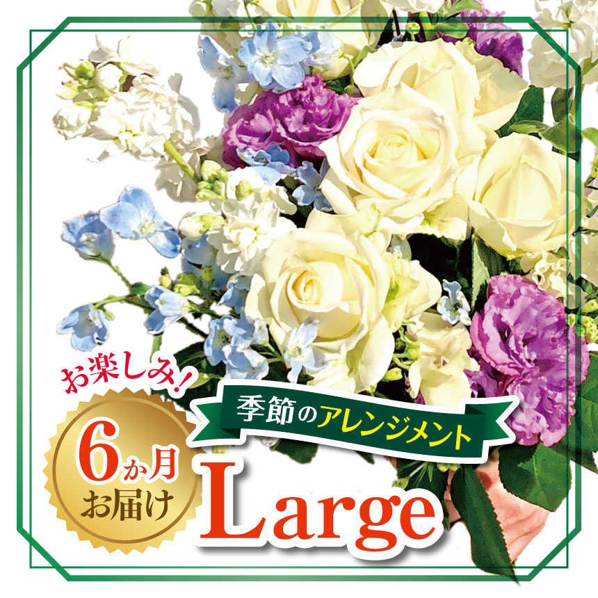 【ふるさと納税】 6か月 お届け お楽しみ！ 季節 の アレンジメント 「Large」 | お花 flower フラワー ふらわー 花 はな リトルシード インテリア 植物 定期便 お任せ 新鮮 東京都