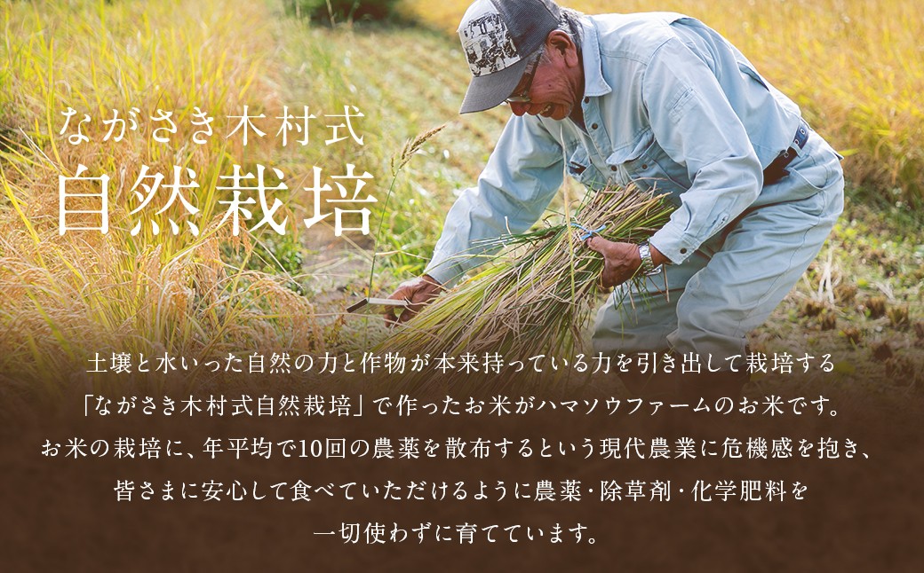 【全3回定期便】【ながさき木村式自然栽培】ひのひかり 白米 10kg