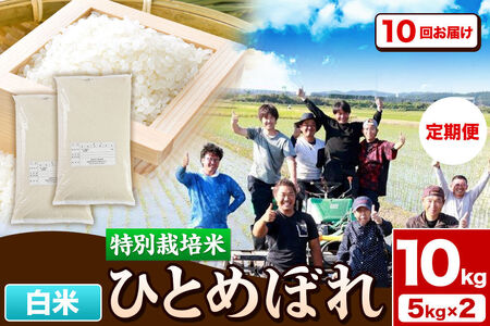 《定期便10ヶ月》令和7年産【白米】特別栽培米 ひとめぼれ 10kg（5kg×2袋）秋田県産 [ひとめぼれ 米 お米 白米 精米 特別栽培米 ブランド米 食卓 秋田県産 秋田県 由利本荘市]
